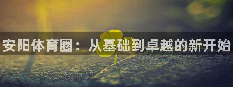 J9官方正版app官方：安阳体育圈：从基础到卓越的新