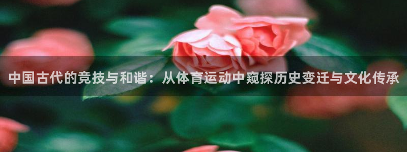 J9官网下载