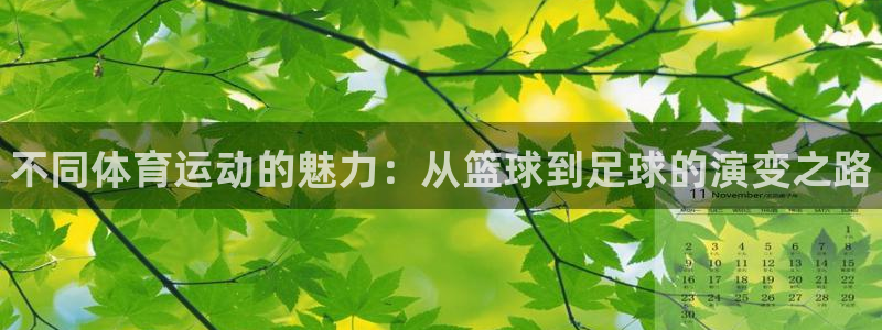 J9官方正版app娱乐平台