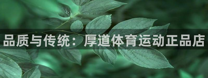 J9官网下载平台：品质与传统：厚道体育运动正品店