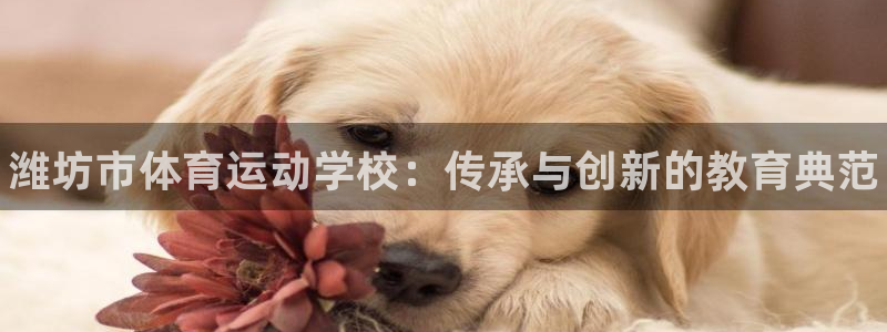 J9官方正版app娱乐首页官网下载：潍坊市体育运动学校：传承