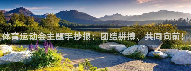 J9官方正版app新能源：体育运动会主题手抄报：团结
