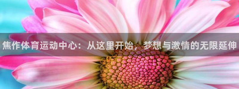 J9官网下载是干嘛的公司：焦作体育运动中心：从这里开