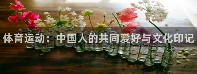 J9官网下载平台注册要钱吗安全吗：体育运动：中国人的共同爱好
