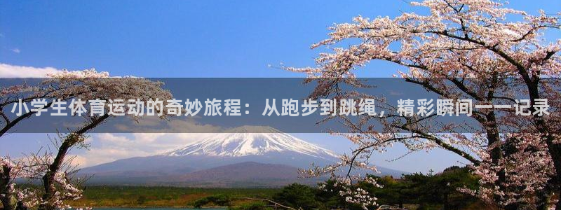 海南J9官网下载：小学生体育运动的奇妙旅程：从跑步到跳绳，精
