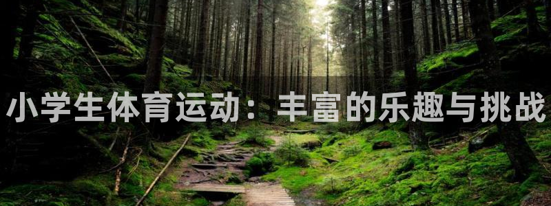 J9官网下载招商电话号码是多少号：小学生体育运动：丰富的乐趣