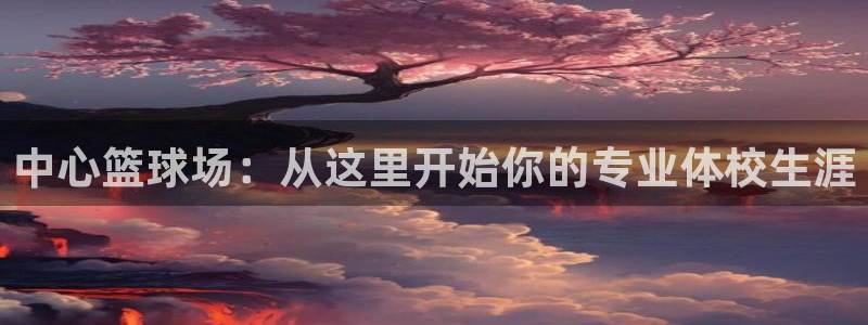 J9官网下载官方客服电话：中心篮球场：从这里开始你的