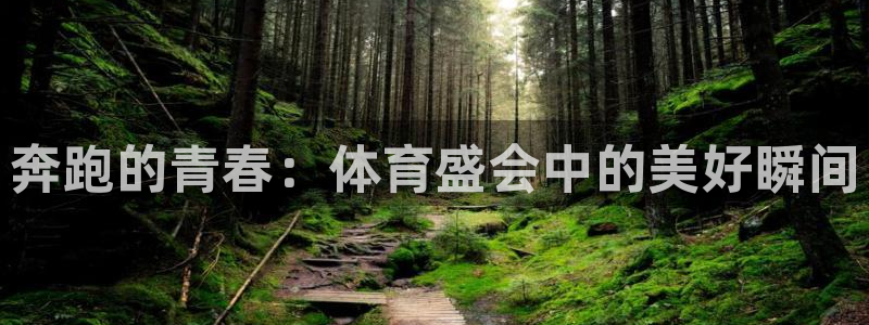 J9官网下载平台注册流程图：奔跑的青春：体育盛会中的