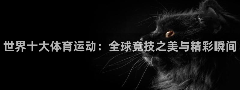 J9官方正版app娱乐平台