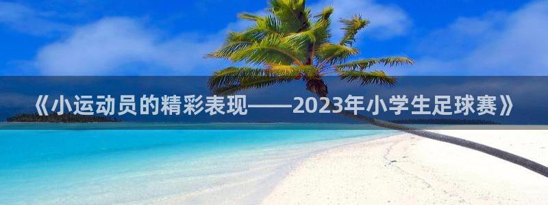 J9官方正版app官方：《小运动员的精彩表现——20
