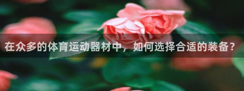 J9官网下载招商电话地址是多少：在众多的体育运动器材
