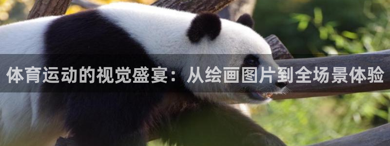 J9官网下载招商电话是多少啊：体育运动的视觉盛宴：从