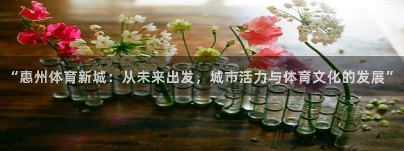 J9官方正版app娱乐首页网站大全