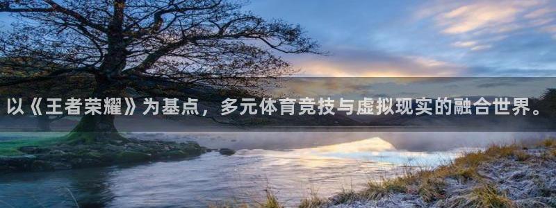 J9官网下载招商电话：以《王者荣耀》为基点，多元体育竞技与虚