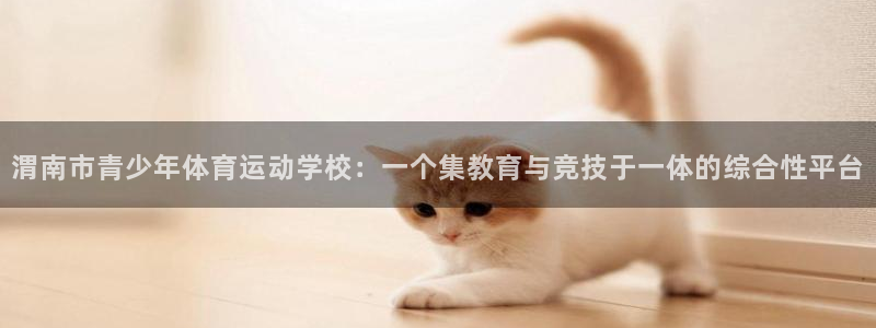 注册J9官方正版app：渭南市青少年体育运动学校：一