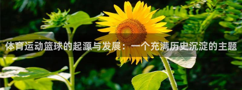 J9官方正版app娱乐是那个系列的台子：体育运动篮球的起源与