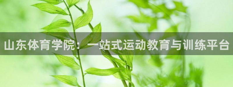 海南J9官网下载：山东体育学院：一站式运动教育与训练平台
