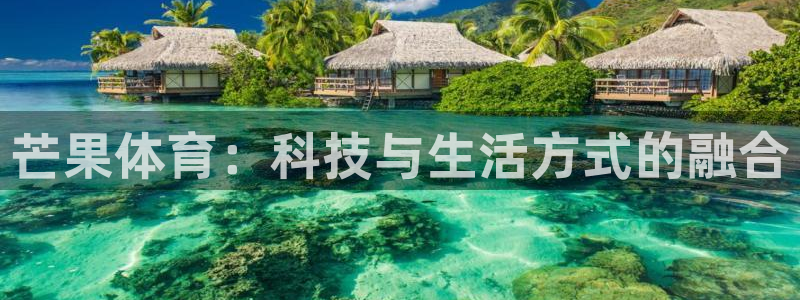 J9官方正版app代理：芒果体育：科技与生活方式的融