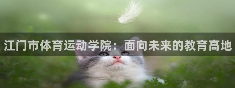 J9官网下载联系电话：江门市体育运动学院：面向未来的教育高地
