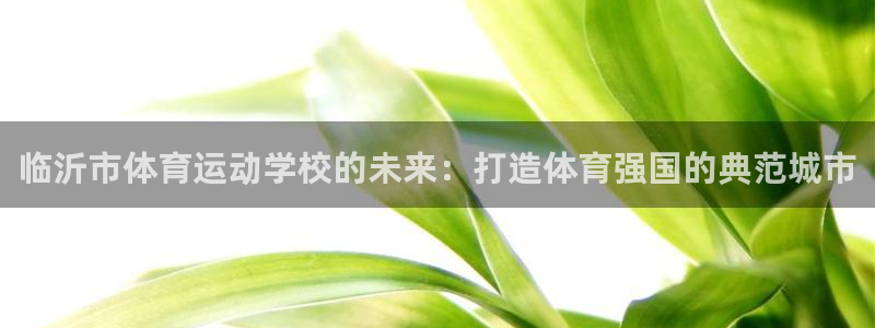 注册J9官方正版app：临沂市体育运动学校的未来：打造体育强
