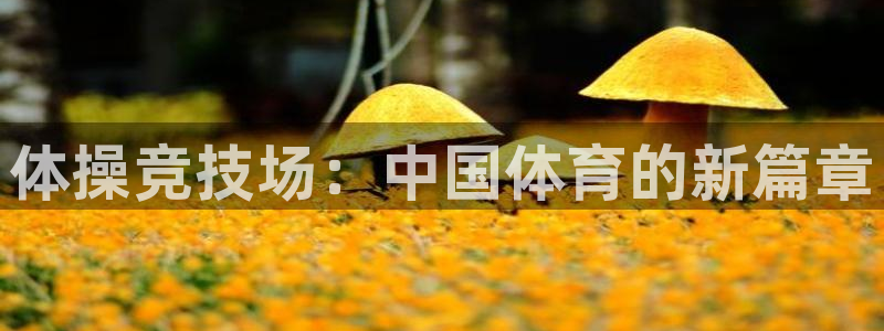 J9官网下载软件：体操竞技场：中国体育的新篇章